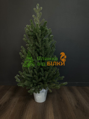 Лита ялинка Віденська зелена 1.00 м.