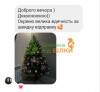 Марія