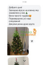 Дарина