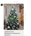 Олена