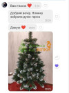 Анастасія
