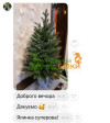 Ольга