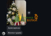 Соломія
