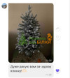 Катя
