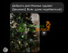 Інесса