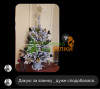Валентина